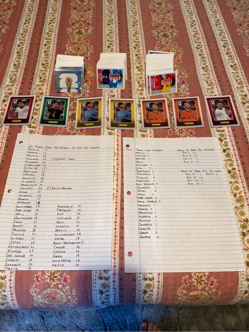 FIFA World Cup stickers, cards and unused books